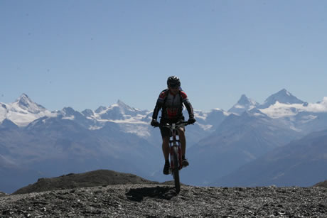 Alpine Test
