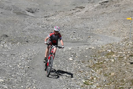 Alpine Test